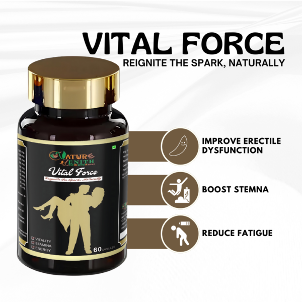 Vital Force - Image 4